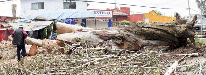 Obra 2019-2020 - Imagen 44